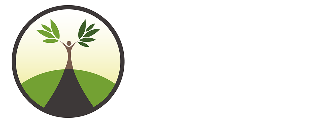 SJ Mian Logo SJ Mian Logo