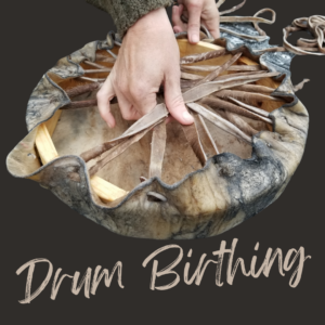 Drum Birthing